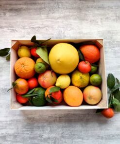 citrus fruit kopen