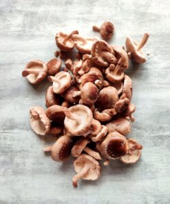 CHAMPIGNONS