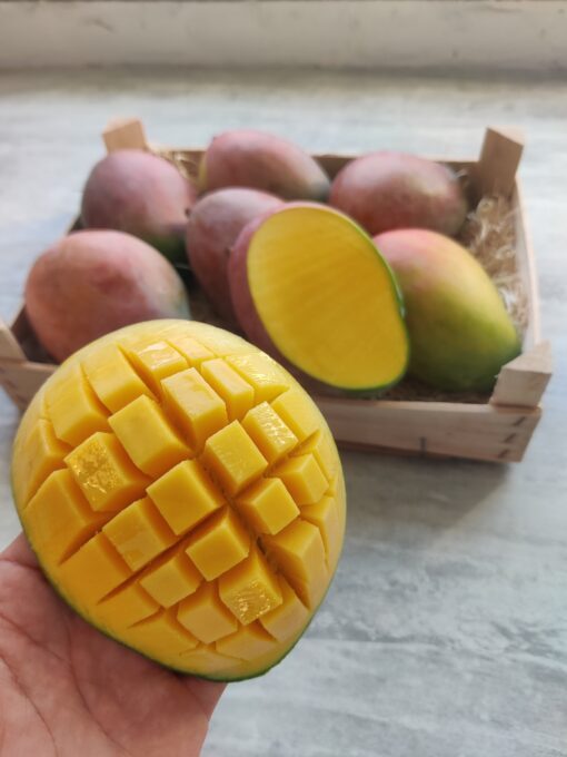 MANGO vliegtuig