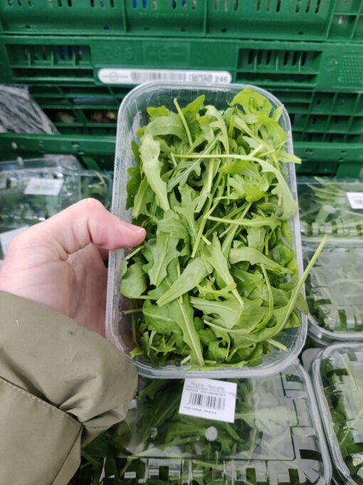 RUCOLA KIST